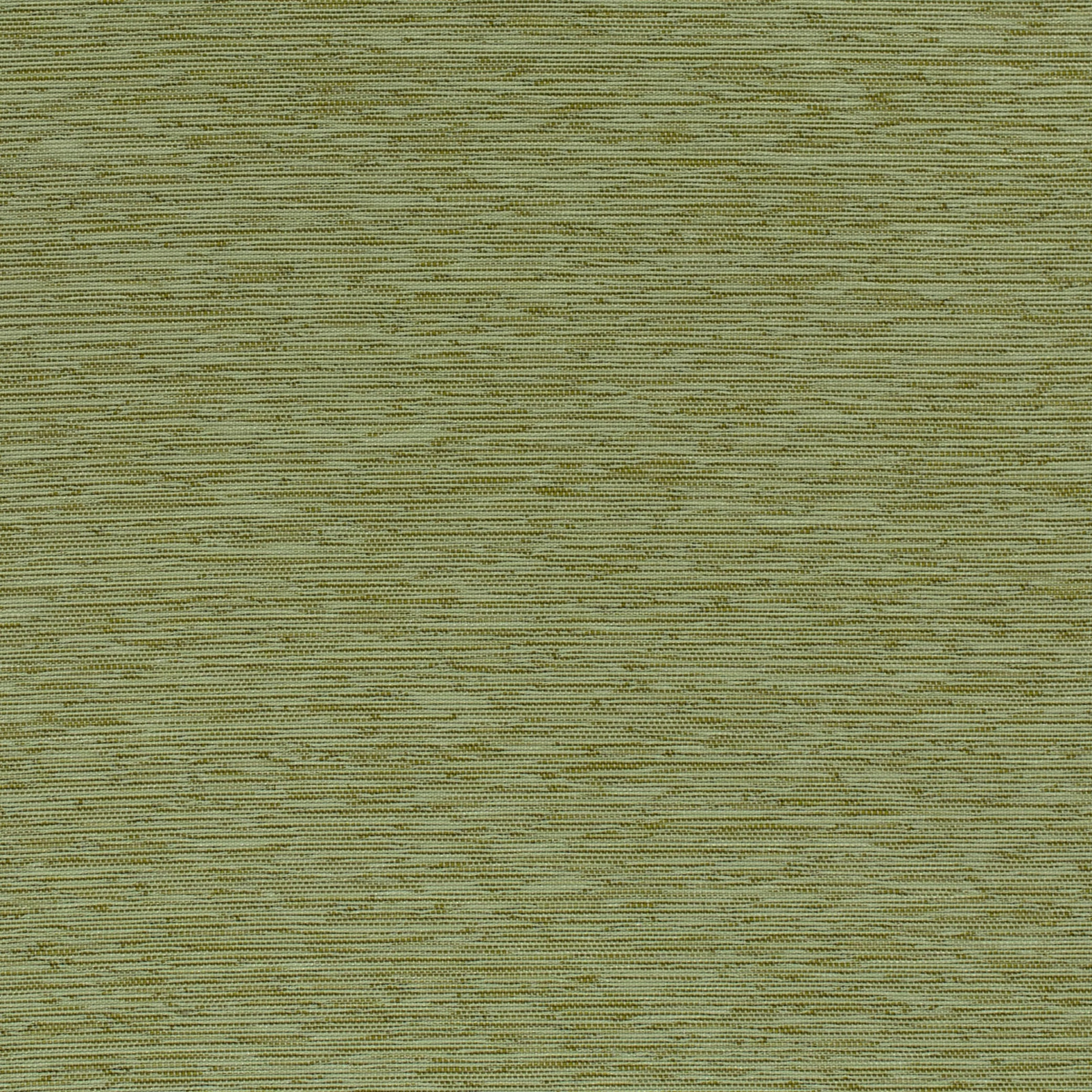 KAVANI 9