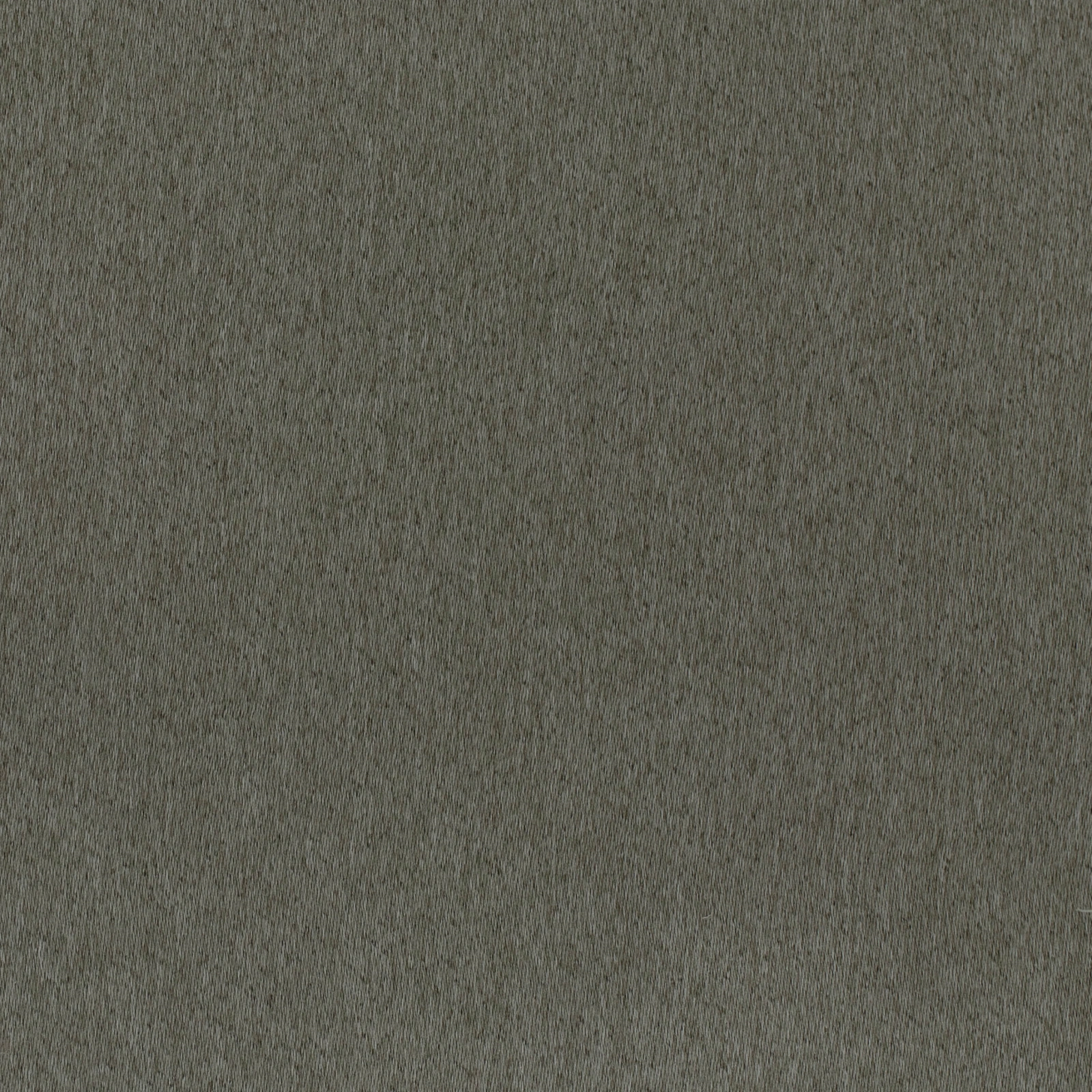 GG01465-016