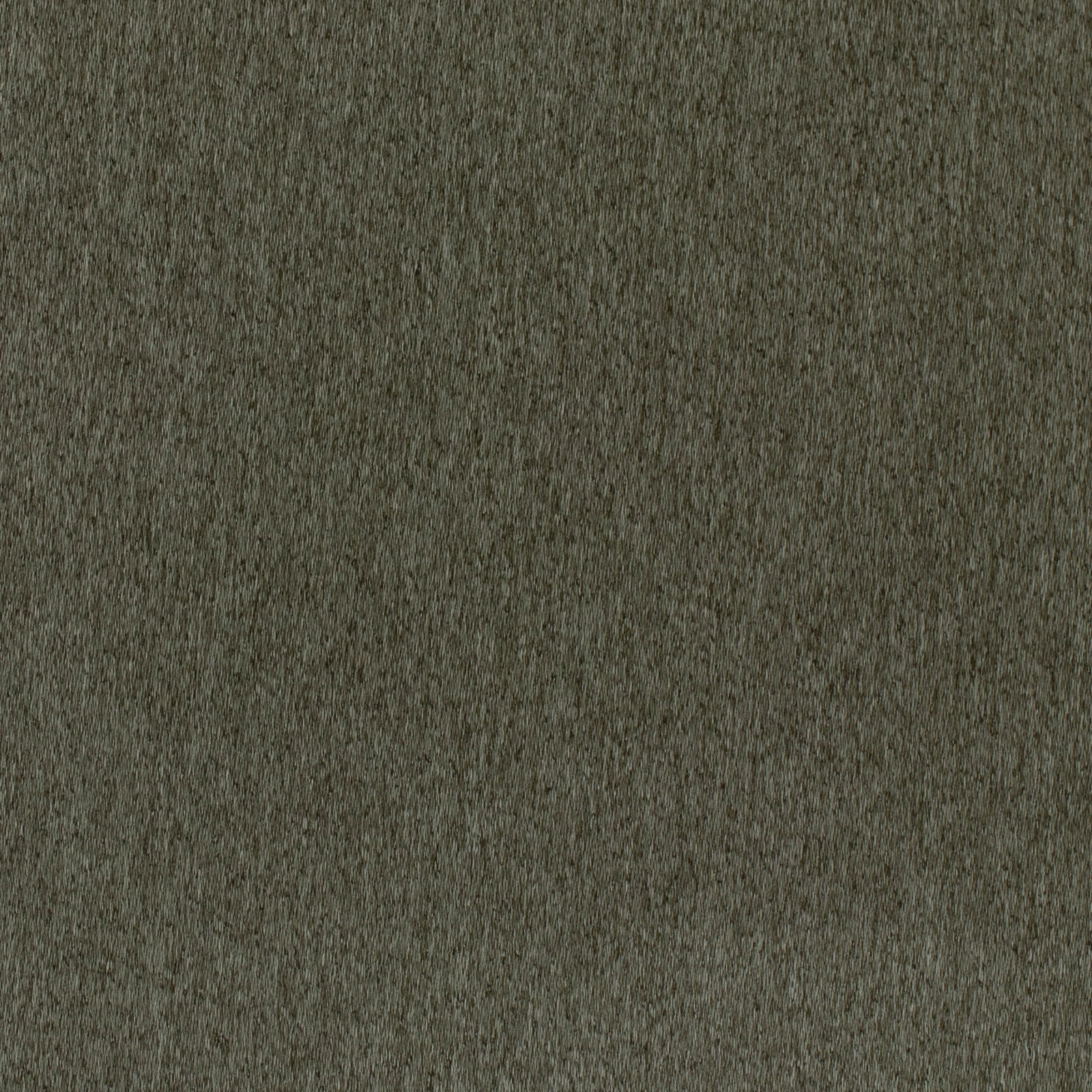 GG01465-017