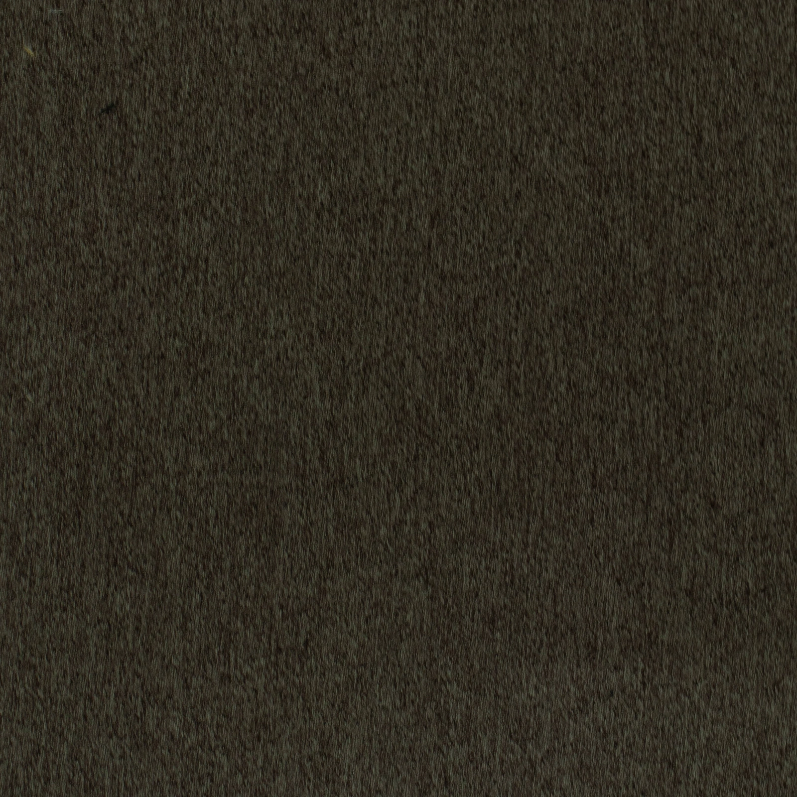 GG01465-018