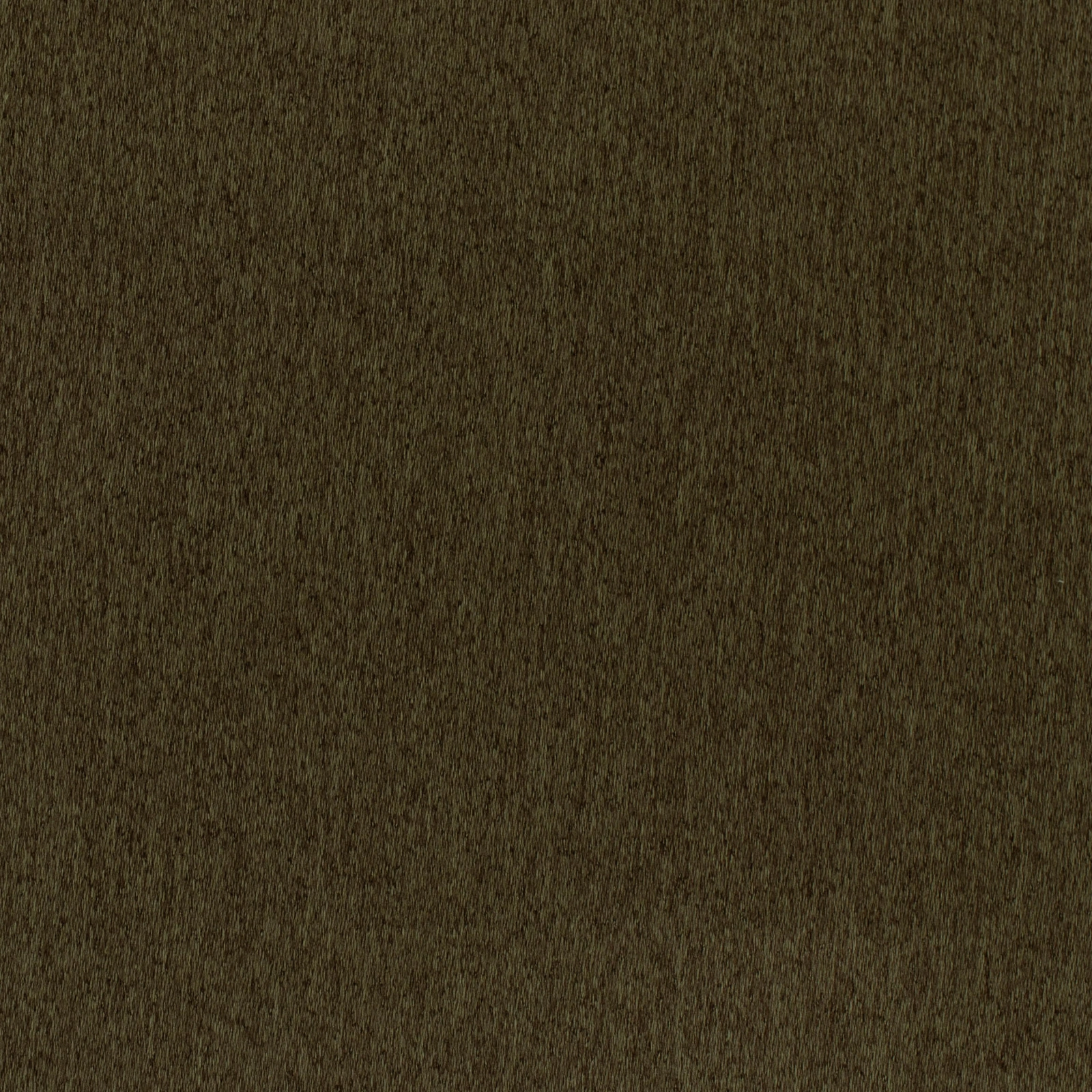 GG01465-019