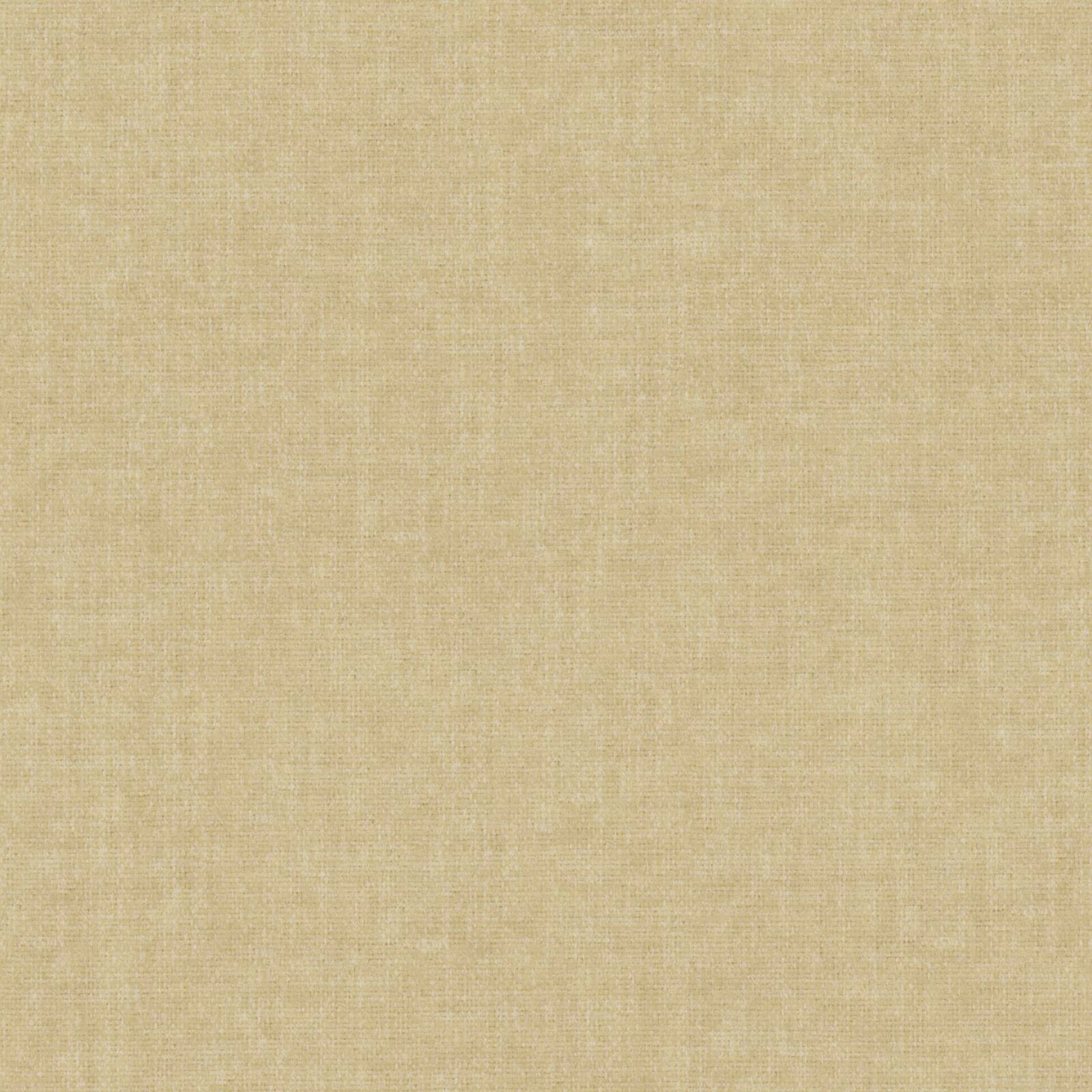 KK04231-006
