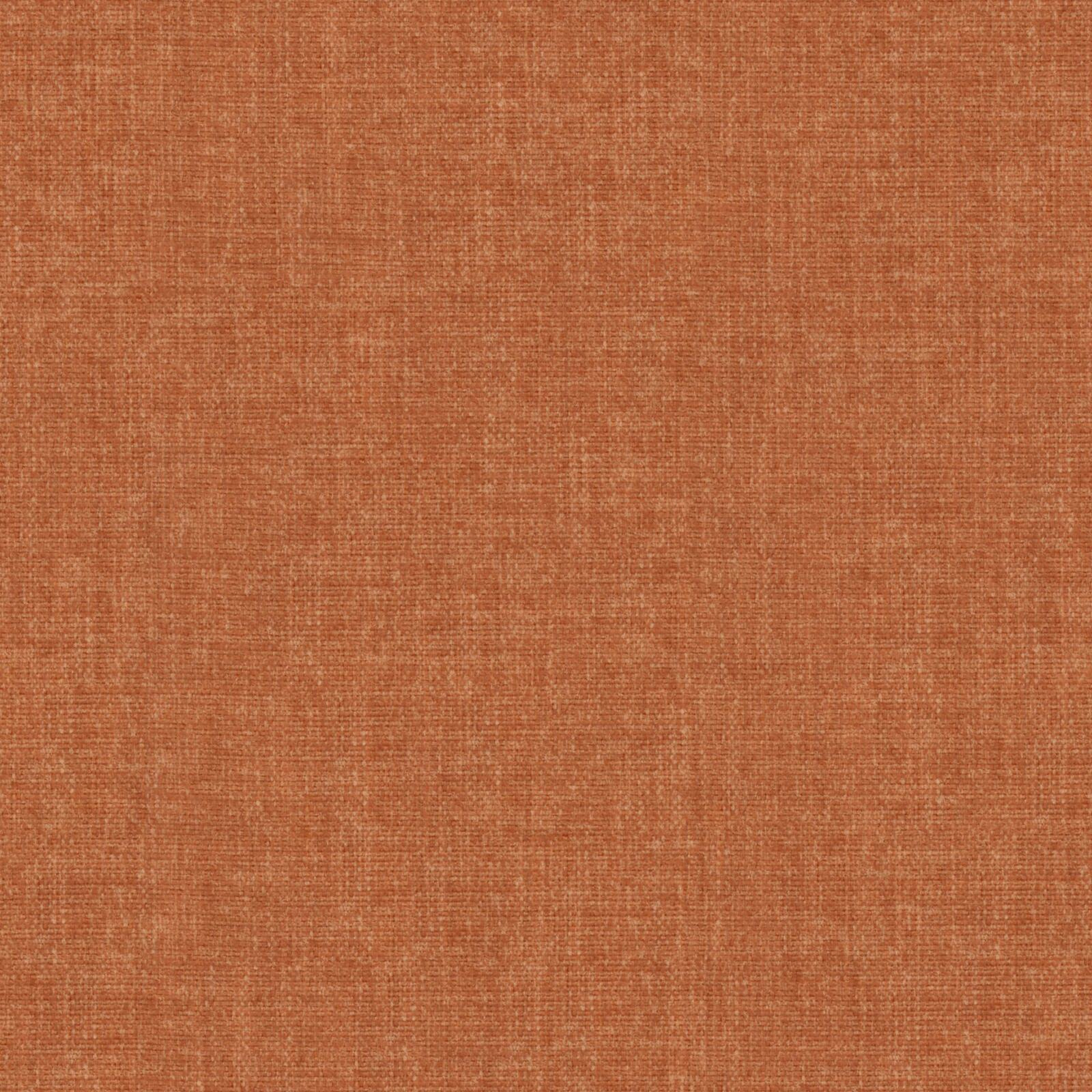 KK04231-007