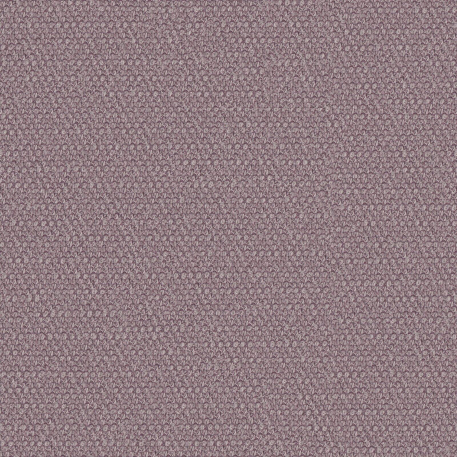 MAGNI
