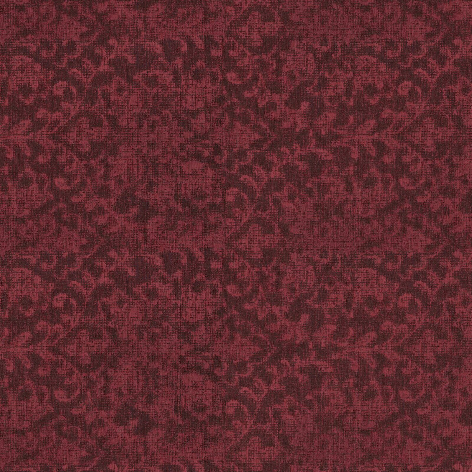 KK04237-007