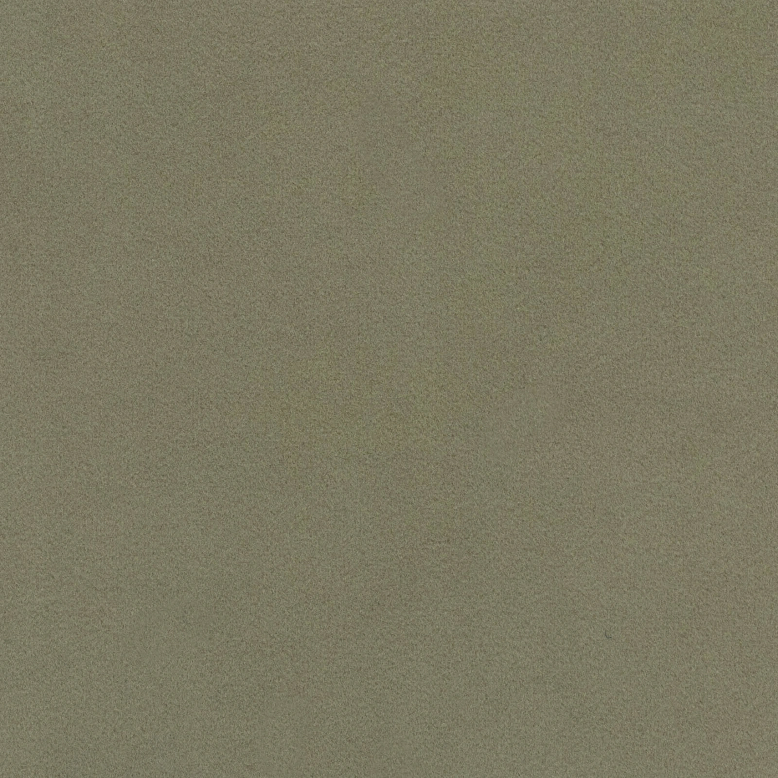 NEWTON