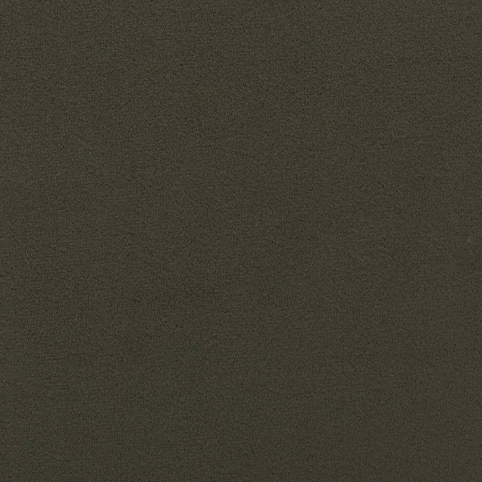 NEWTON