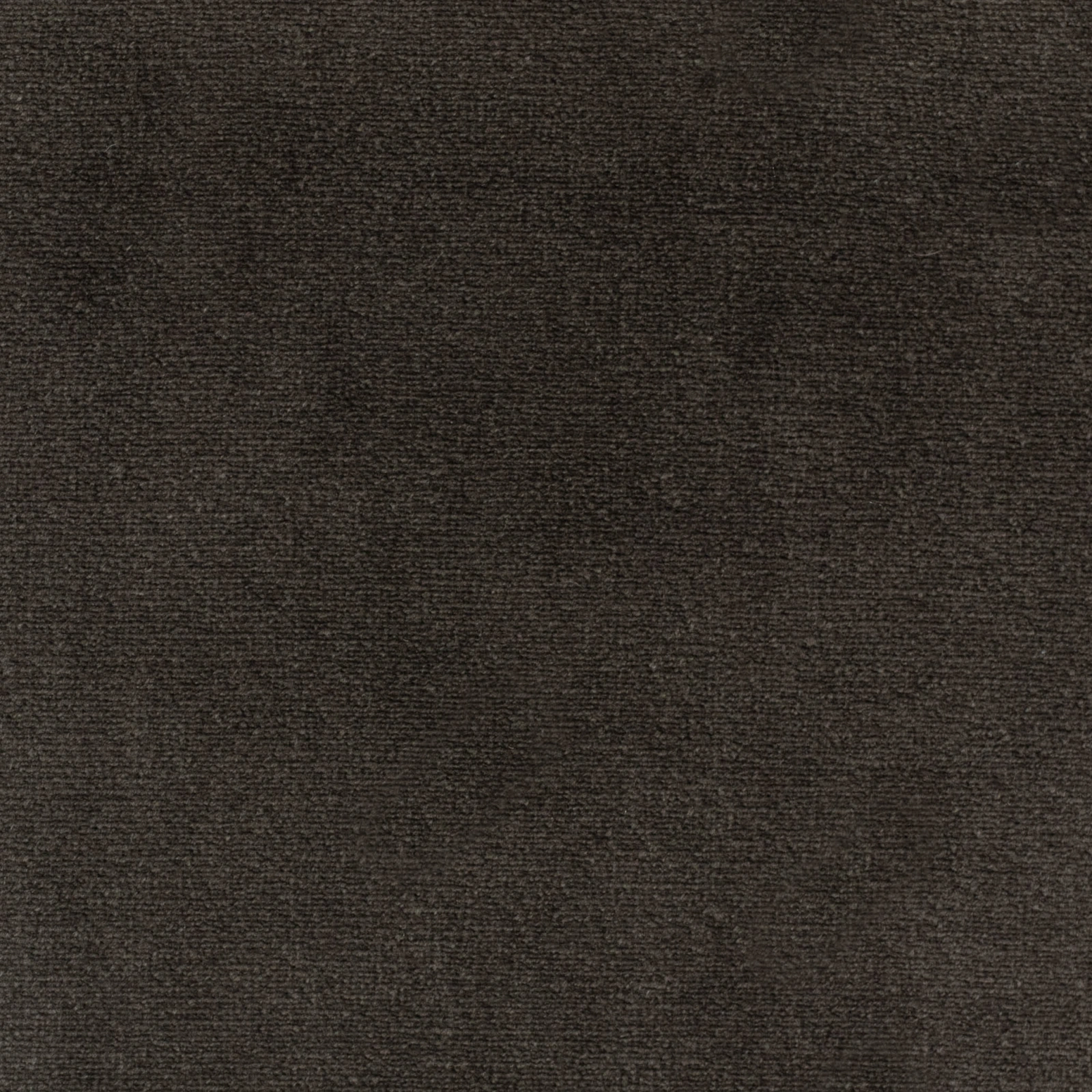 KK04279-005