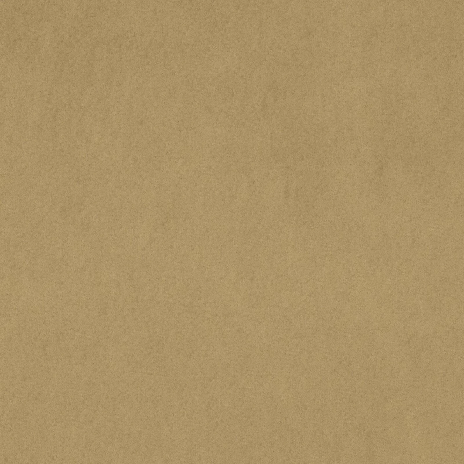 KK04301-005