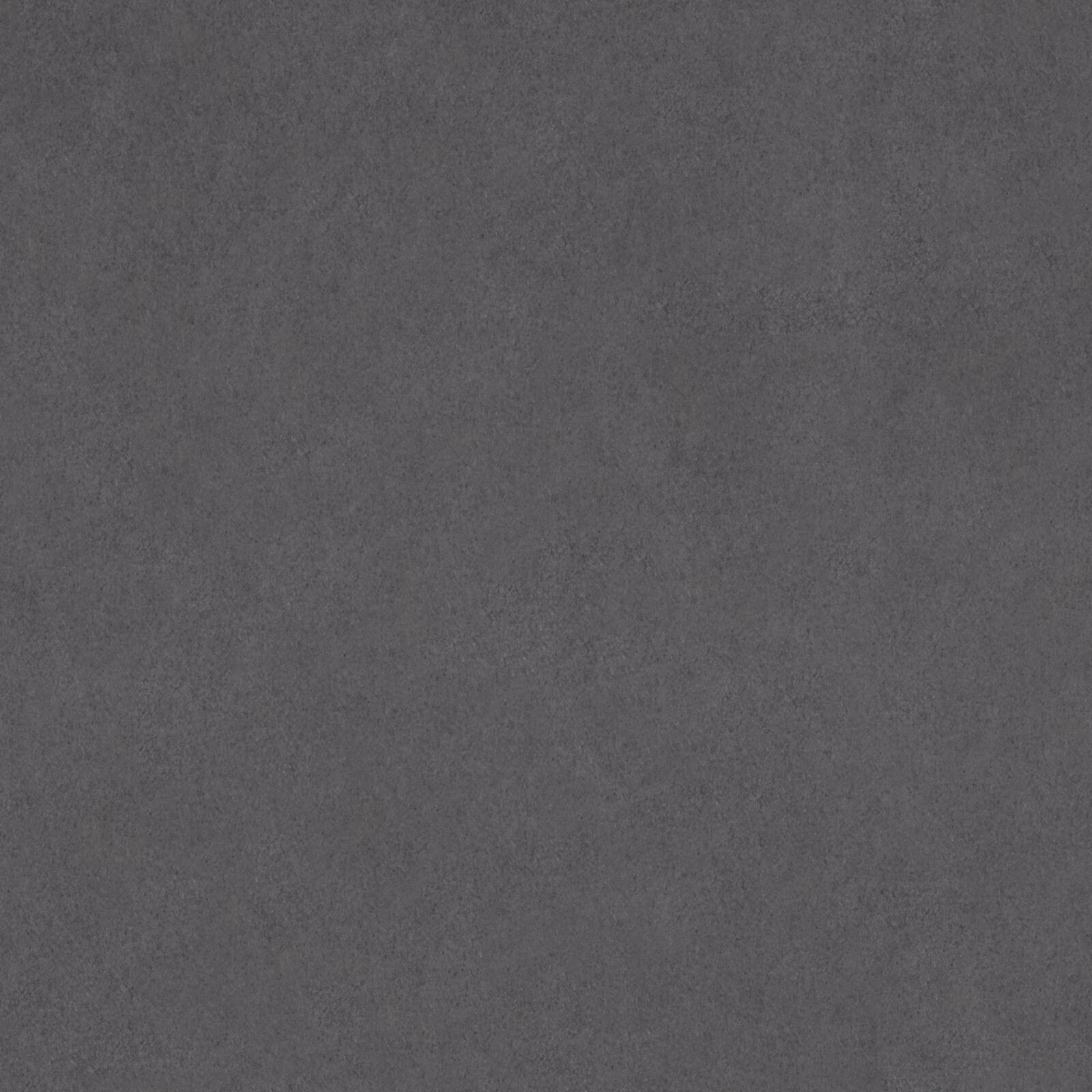 KK04301-019