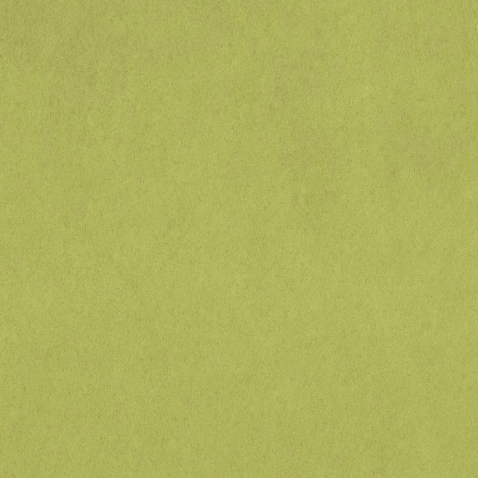 KK04301-026
