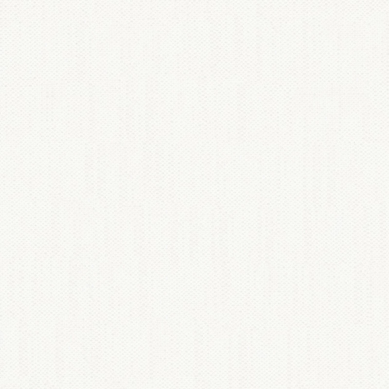 KK04321-008