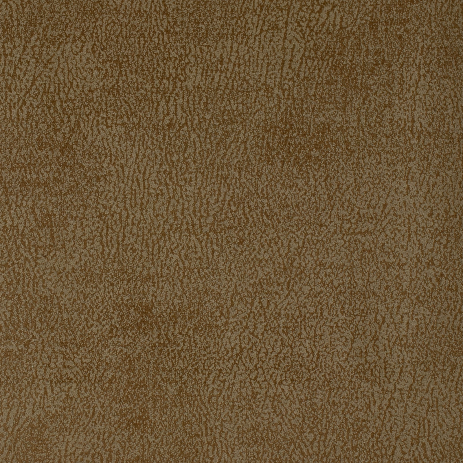 JAZZY VELVET 2