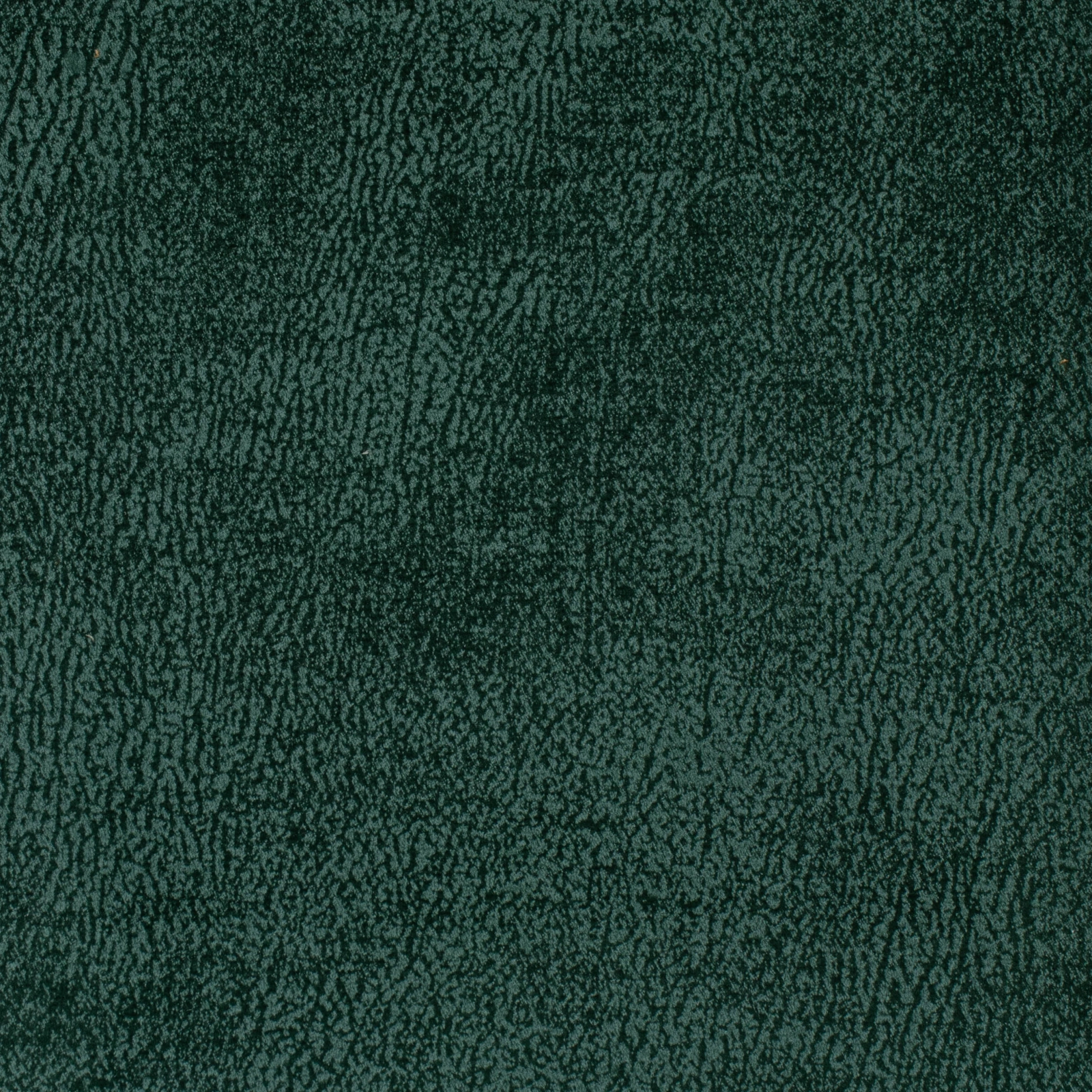 JAZZY VELVET 2