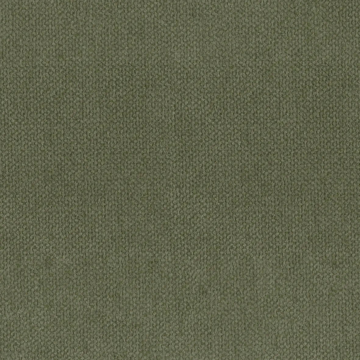 KK04408-008