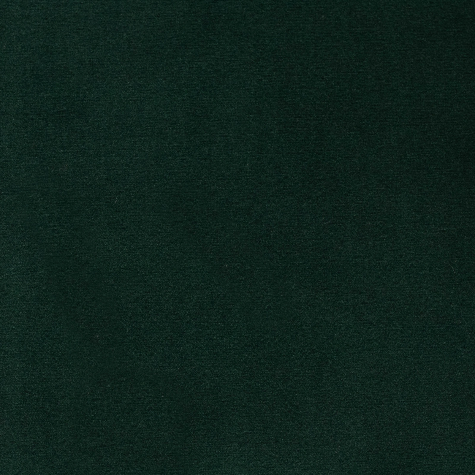 KK04412-003