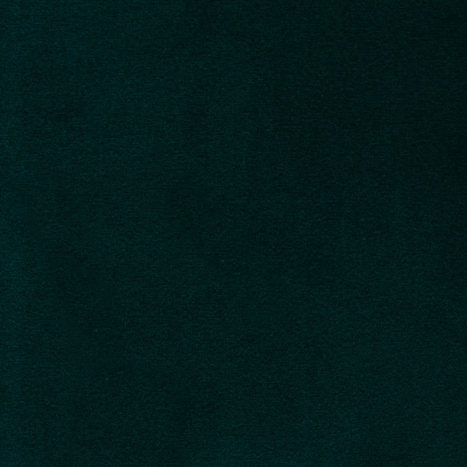 KK04412-004