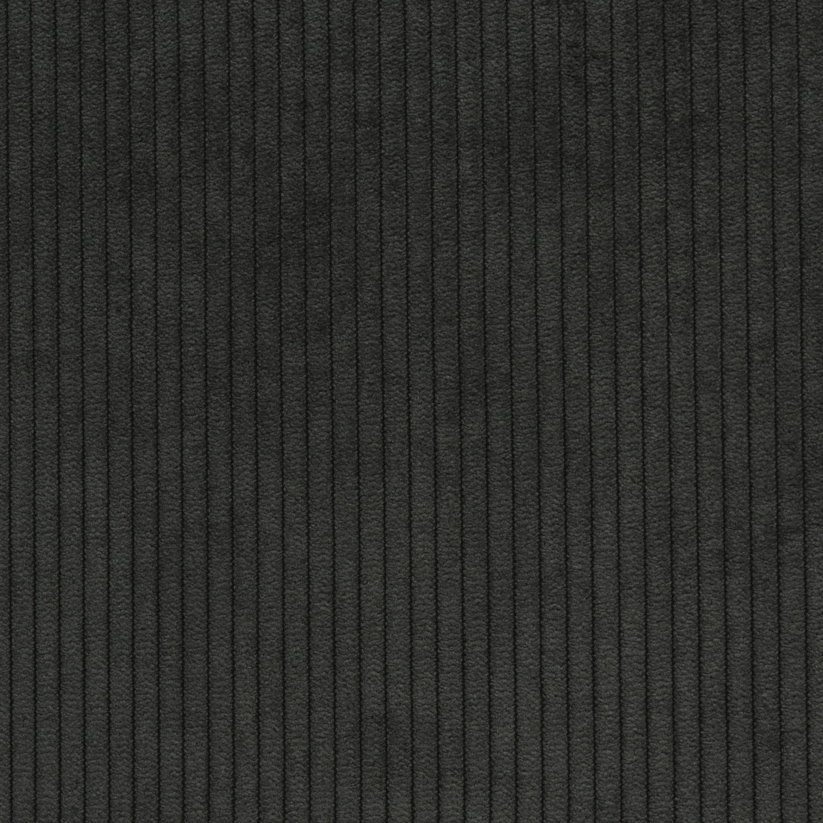 KK04469-002