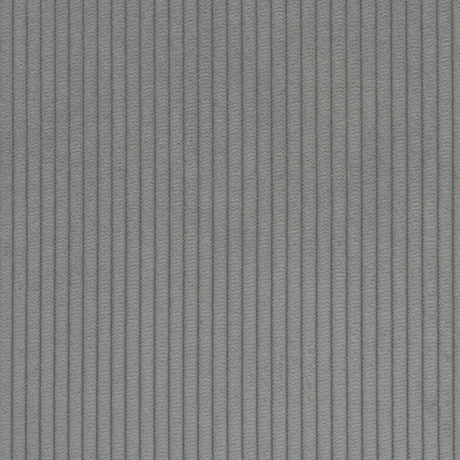 KK04469-004