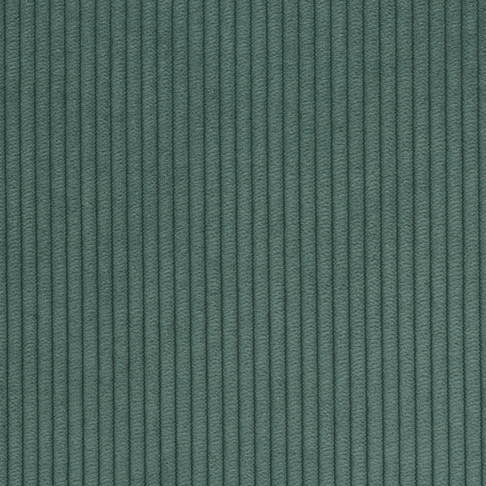 KK04469-007