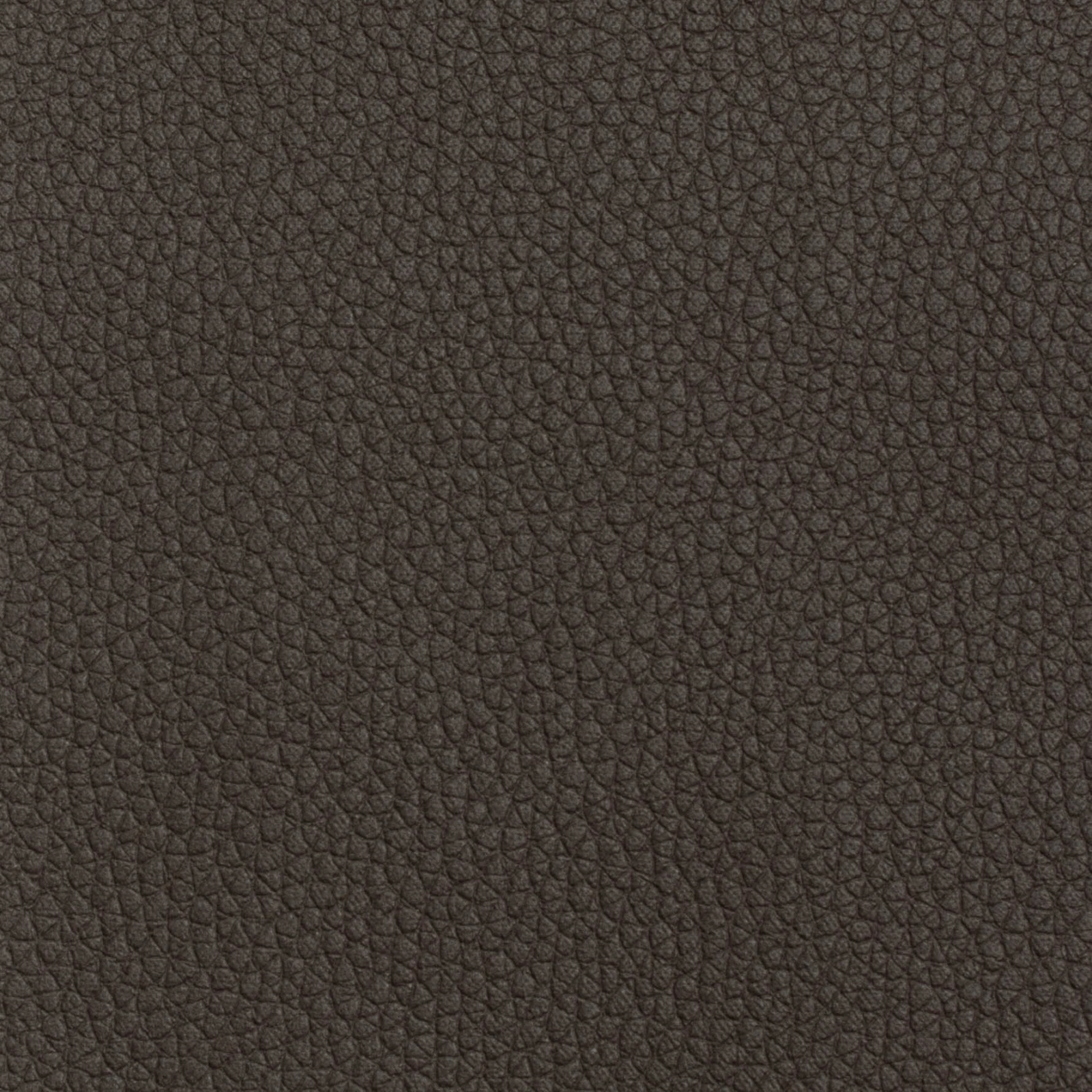 KK04491-004