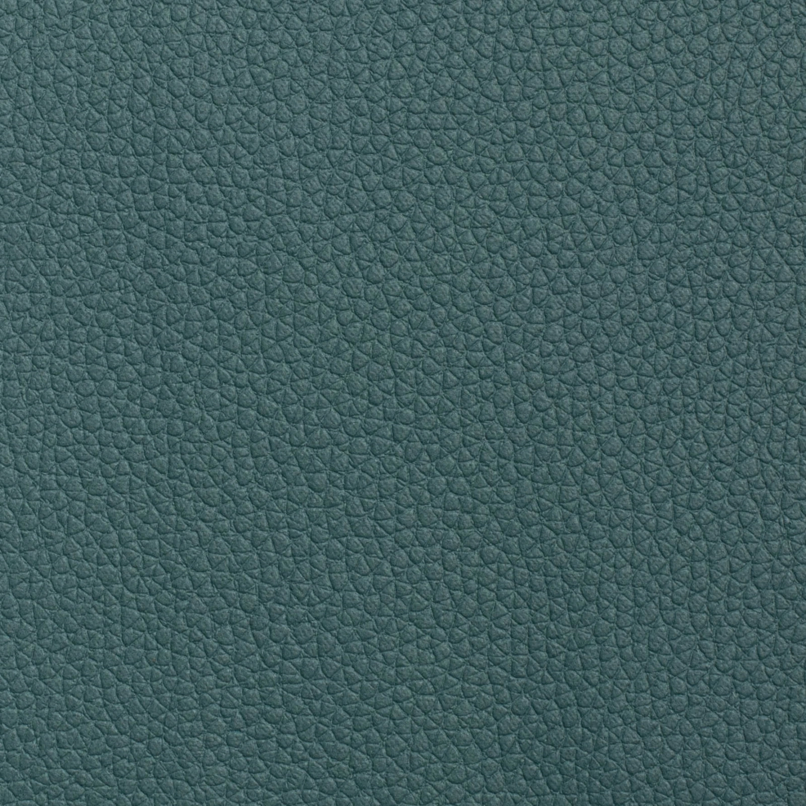 KK04491-024