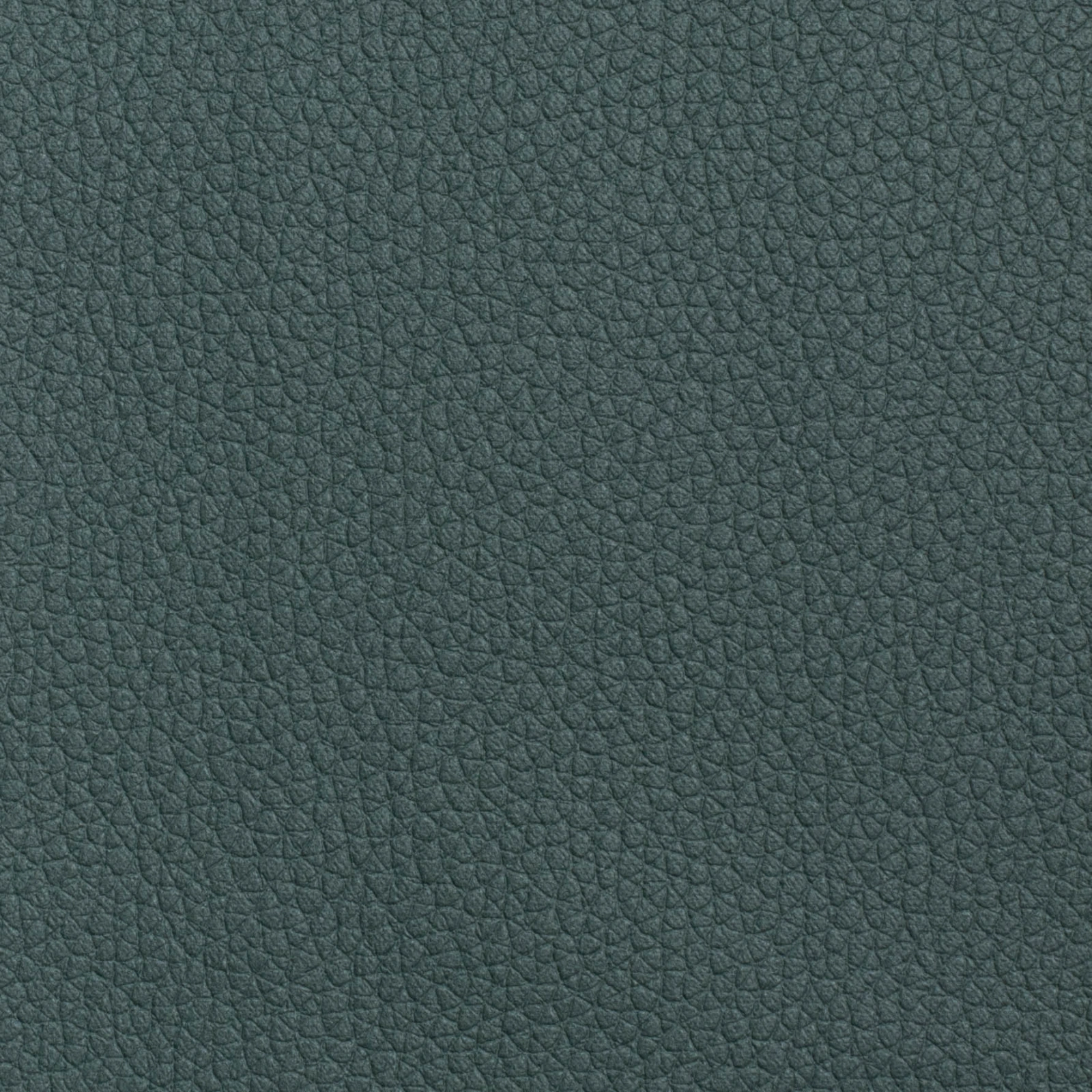 KK04491-028