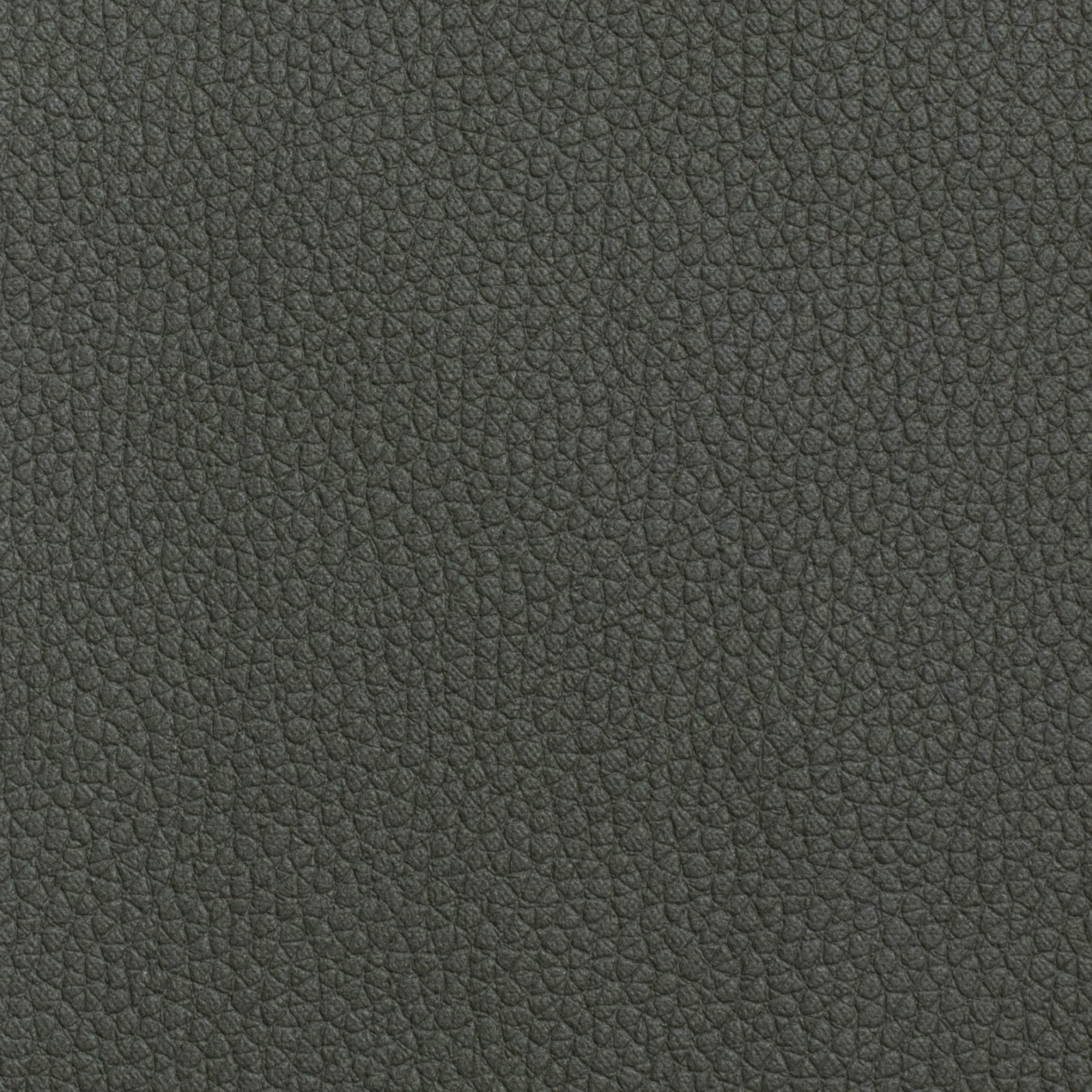 KK04491-029