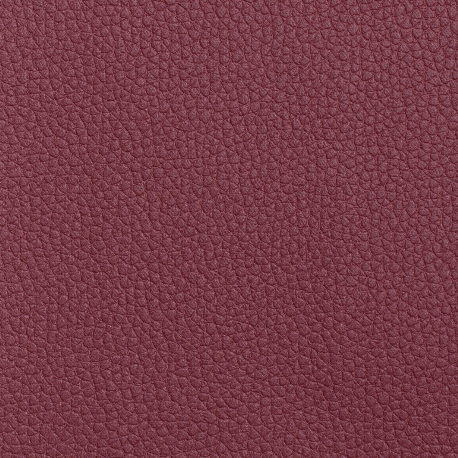 KK04491-038