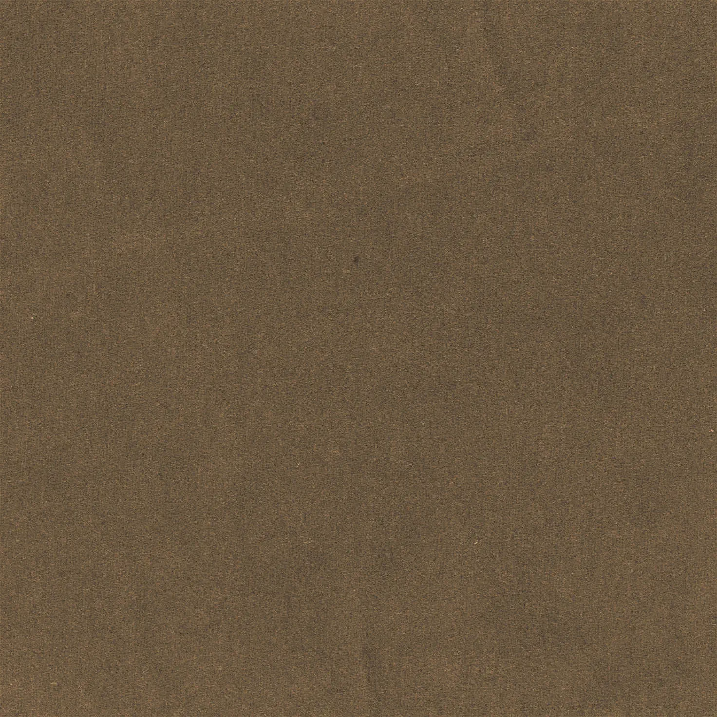 KK04495-013