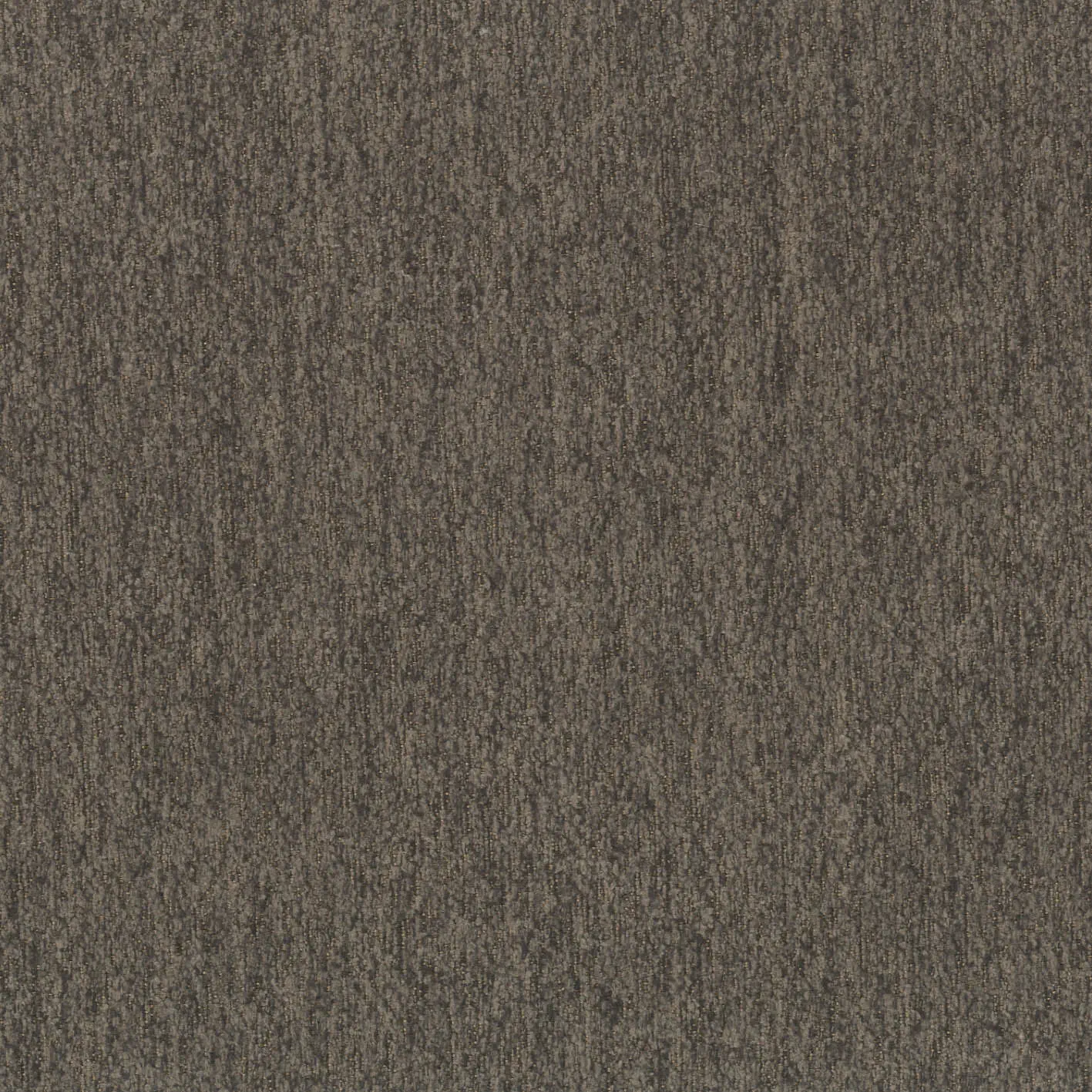 KK04496-007
