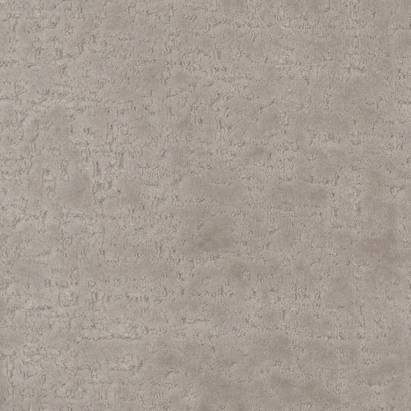 KK04499-007