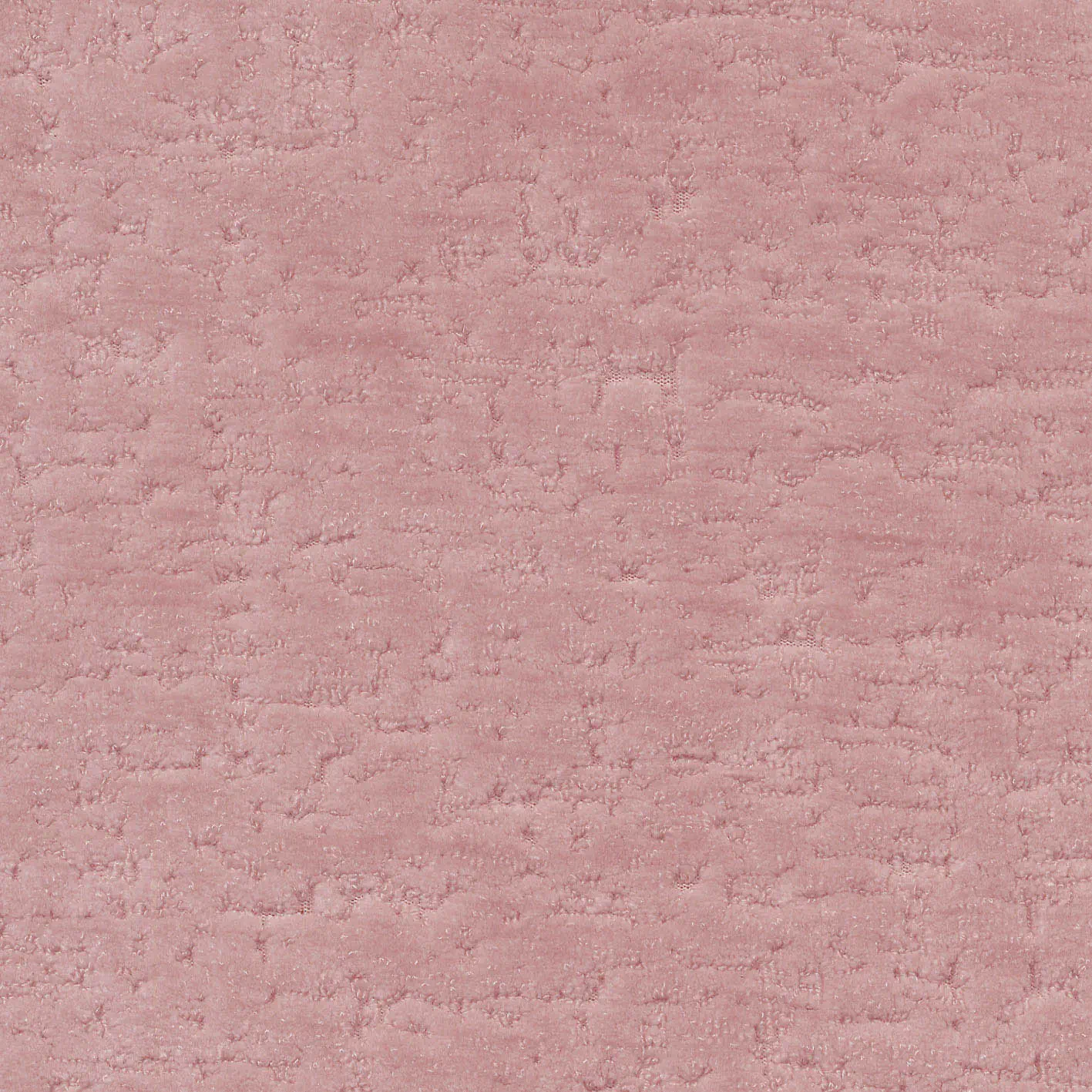 KK04499-013