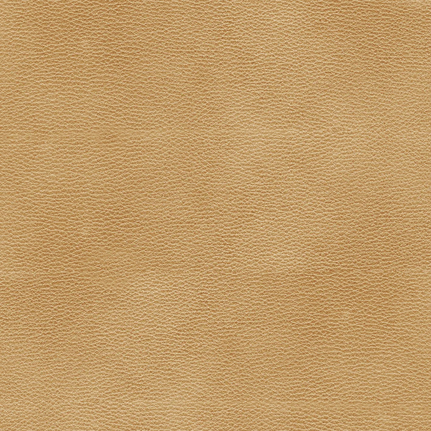KK04530-005