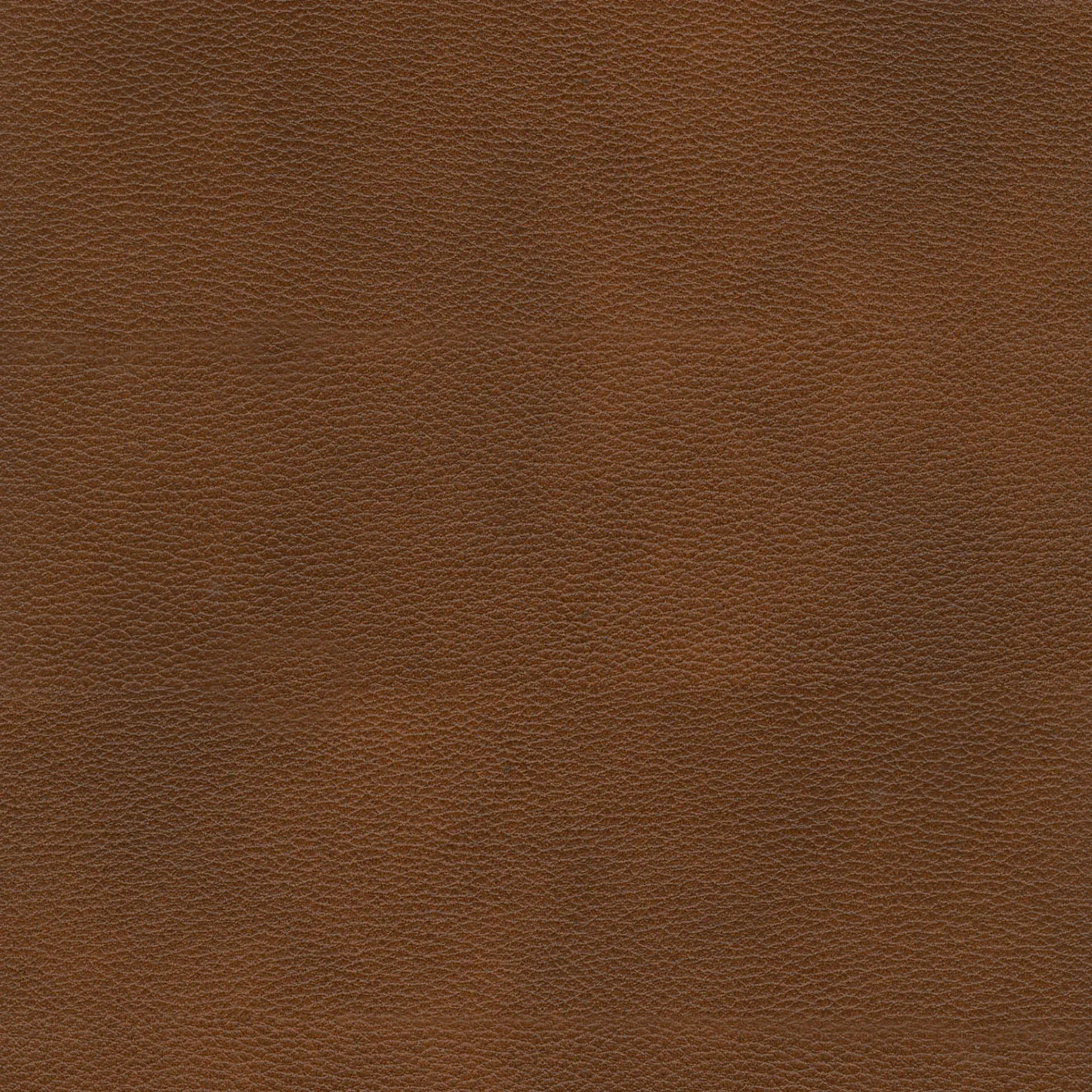 KK04530-007