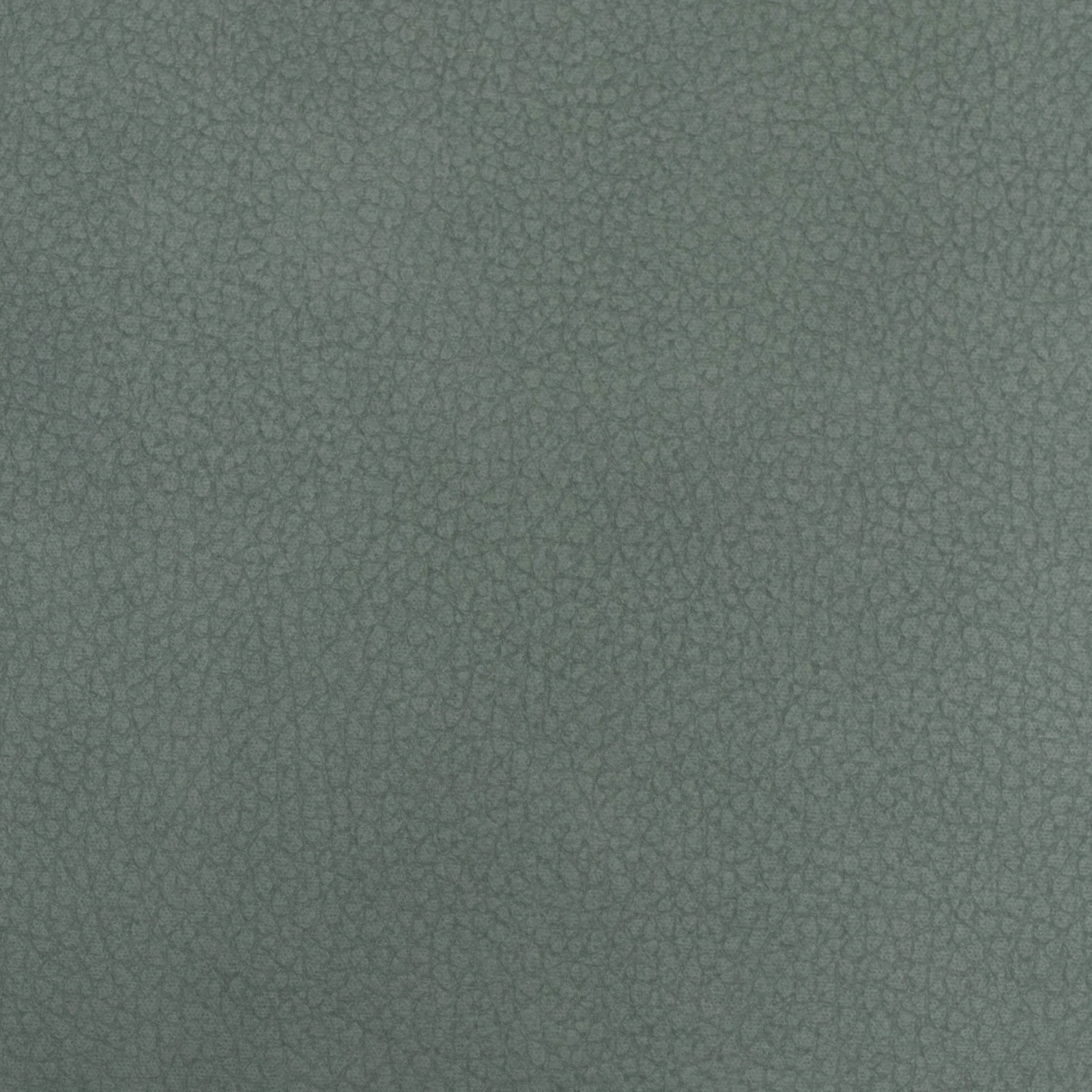 EARTHLINE