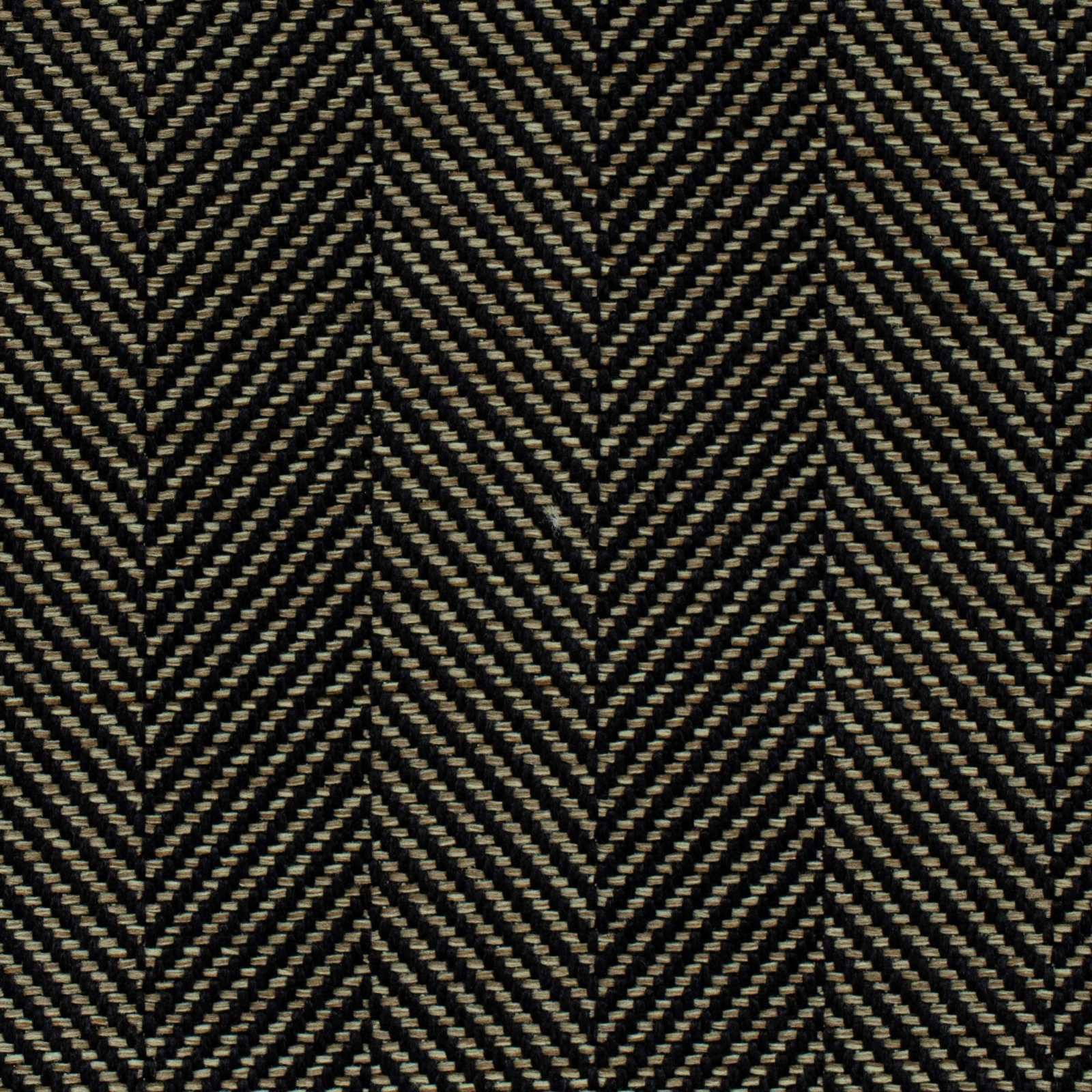EARTHLINE