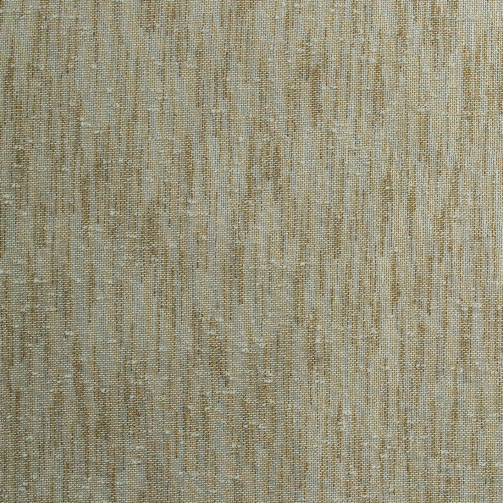 LUMIERE