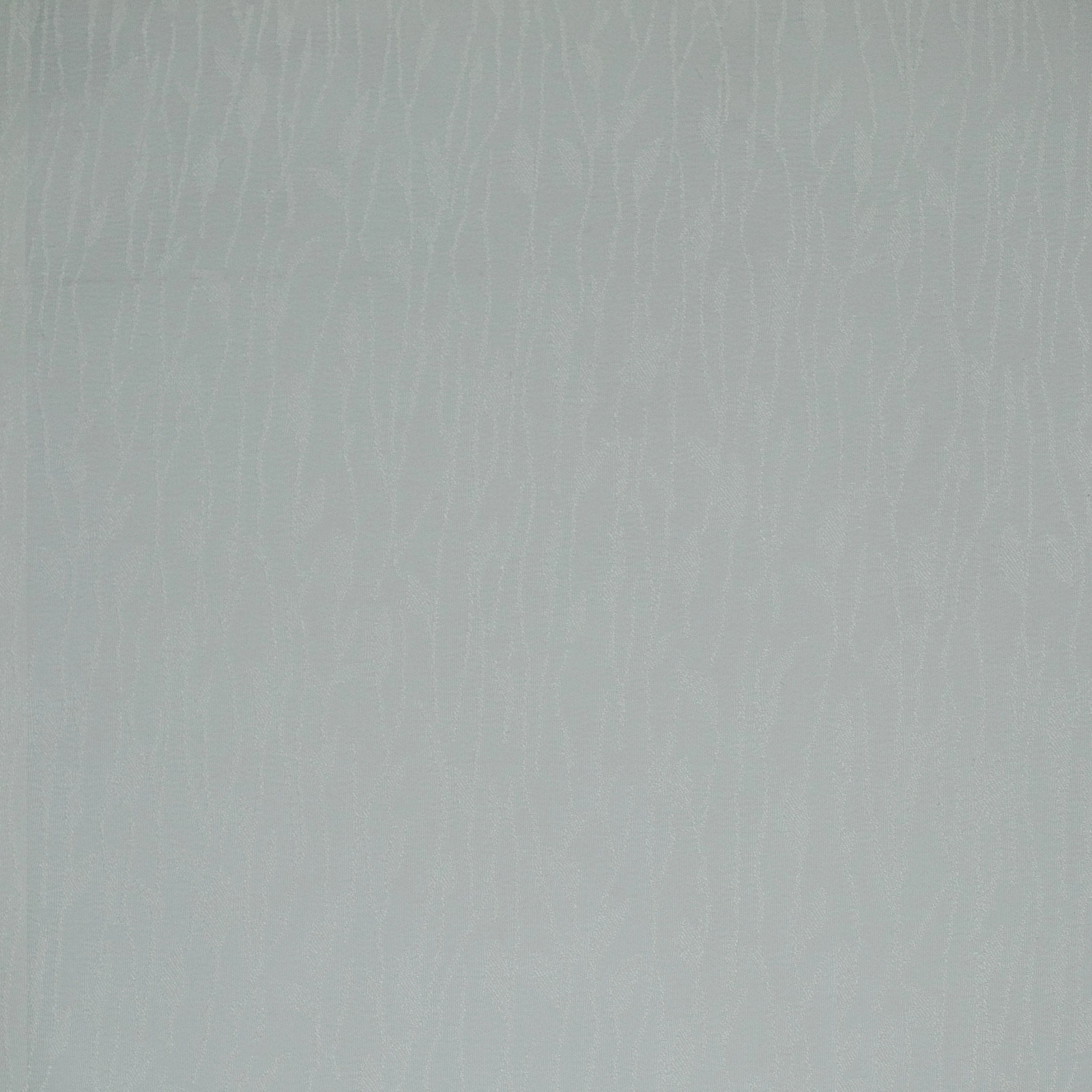 VV00881-001