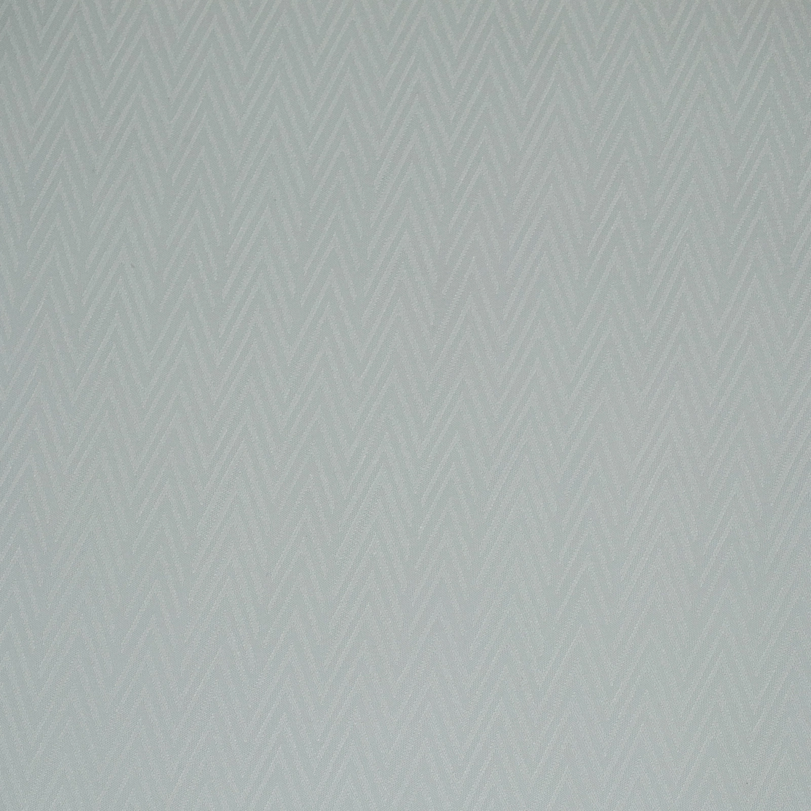 VV00881-003